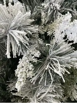 Snow-Covered Christmas Tree დათოვლილი საახალწლო ნაძვის ხე 180 სმ (OT2007), 9 image