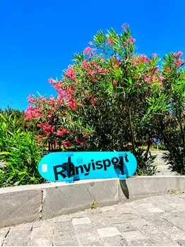 Skateboard Runyi Sport Blue With LED Wheels სკეიტბორდი, 3 image