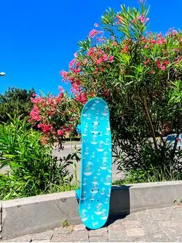 Skateboard Runyi Sport Blue With LED Wheels სკეიტბორდი