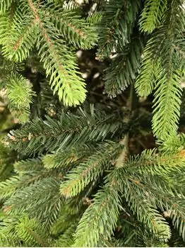 Carpathian Christmas Tree Light Green Tips 230CM PVC + PE  ნაძვის ხე შერეული სილიკონის წიწვებით, 16 image