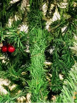 Christmas Tree With Cone And Berries საახალწლო ნაძვის ხე დათოვლილი ბოლოებით გირჩით და კენკრით 240 სმ (OT2076), 12 image