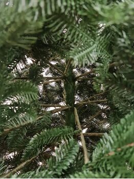 Canadian Christmas Tree Green PE 230CM ნაძვის ხე 100% სილიკონი, 4 image