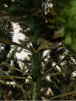 Carpathian Christmas Tree Light Green Tips 210CM PVC + PE  ნაძვის ხე შერეული სილიკონის წიწვებით, 7 image