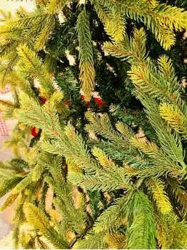 Christmas Tree - საახალწლო ნაძვის ხე 90 % სილიკონი 300 CM (OT2331 ), 7 image