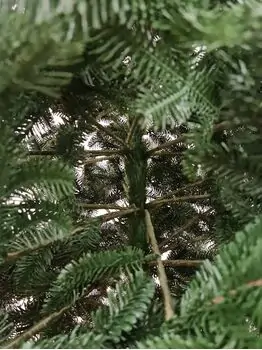 Canadian Christmas Tree Green PE 230CM ნაძვის ხე 100% სილიკონი, 4 image
