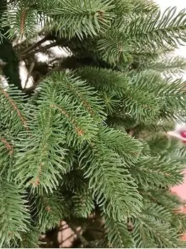 Kovalivian Christmas Tree Green VIP, PE 180 CM ნაძვის ხე 100% სილიკონი, 7 image