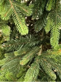 Carpathian Christmas Tree Light Green Tips 230CM PVC + PE  ნაძვის ხე შერეული სილიკონის წიწვებით, 13 image