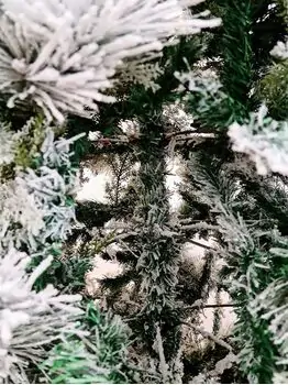 Snow-Covered Christmas Tree დათოვლილი საახალწლო ნაძვის ხე 240 სმ (OT2009), 10 image