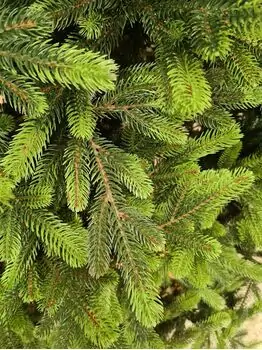 Carpathian Christmas Tree Light Green Tips 230CM PVC + PE  ნაძვის ხე შერეული სილიკონის წიწვებით, 12 image