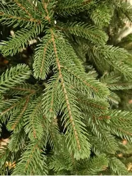 Carpathian Christmas Tree Green PVC + PE 230CM ნაძვის ხე შერეული სილიკონის წიწვებით, 7 image
