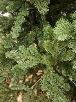 Kovalivian Christmas Tree Green VIP, PE 300 CM ნაძვის ხე 100% სილიკონი, 7 image