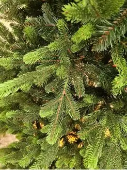 Carpathian Christmas Tree Light Green Tips 210CM PVC + PE  ნაძვის ხე შერეული სილიკონის წიწვებით, 6 image