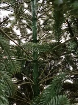 Kovalivian Christmas Tree Green VIP, PE 300 CM ნაძვის ხე 100% სილიკონი, 6 image
