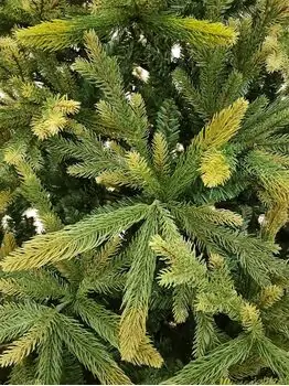 Christmas Tree საახალწლო ნაძვის ხე შერეული სილიკონის წიწვებით 240 CM (OT2330), 4 image