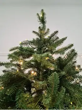 Christmas Tree With Lights - საახალწლო ნაძვის ხე შერეული სილიკონის წიწვებით და განათებებით 225 CM  (OT2333), 4 image