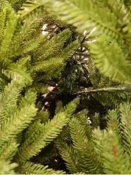 Christmas Tree 270 CM ნაძვის ხე 100 % სილიკონი, 7 image