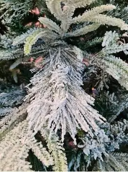 Snow-Covered Christmas Tree With Pine Cones 240 CM ნაძვის ხე დათოვლილი, შერეული სილიკონის ტოტებით და გირჩით, 4 image