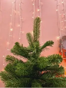 Christmas Tree 210 CM ნაძვის ხე შერეული სილიკონის წიწვებით, 4 image