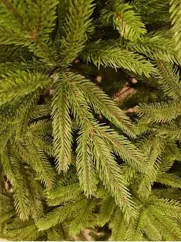 Christmas Tree 210 CM  ნაძვის ხე 100 % სილიკონი, 3 image