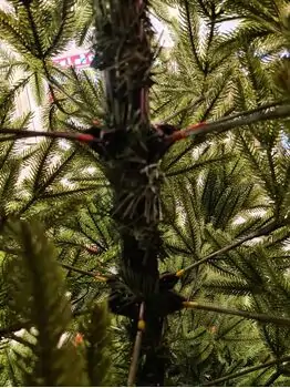 Christmas Tree 210 CM  ნაძვის ხე 100 % სილიკონი, 6 image