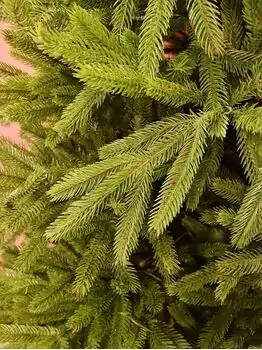 Christmas Tree 210 CM  ნაძვის ხე 100 % სილიკონი, 4 image