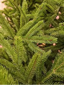 Christmas Tree 270 CM ნაძვის ხე 100 % სილიკონი, 5 image