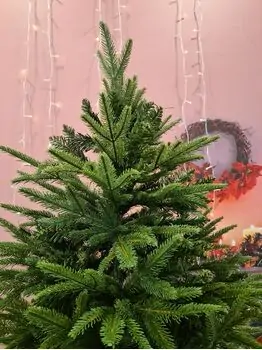Christmas Tree 240 CM  ნაძვის ხე შერეული სილიკონის წიწვებით, 3 image