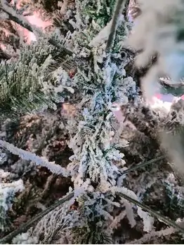 Snow-Covered Christmas Tree 210 CM ნაძვის ხე დათოვლილი, შერეული სილიკონის ტოტებით, 5 image