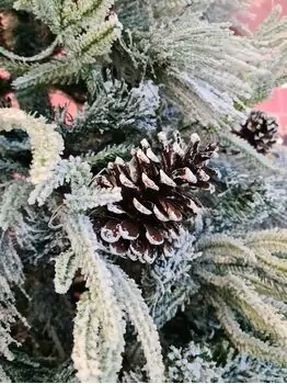 Snow-Covered Christmas Tree With Pine Cones 240 CM ნაძვის ხე დათოვლილი, შერეული სილიკონის ტოტებით და გირჩით, 5 image