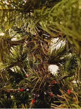 Christmas Tree 210 CM ნაძვის ხე შერეული სილიკონის წიწვებით, 7 image