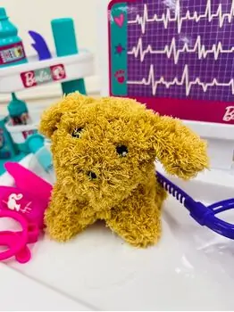 Barbie Veterinary set - სათამაშო ვეტერინარული ნაკრები, 4 image