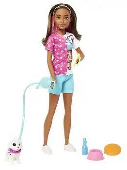 Barbie Skipper Doll and Dog Walker Set with Puppy and Accessories - ბარბის თოჯინა აქსესუარებით