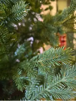 Christmas Tree Green 210 CM  PE - საახალწლო ნაძვის ხე, 100% სილიკონი, 2 image