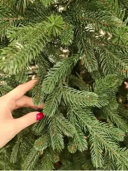 Viennese Christmas Tree Green PE 230 CM საახალწლო ნაძვის ხე 100% სილიკონი, 8 image