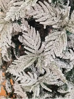 Snow-Covered Christmas Tree PE + PVC 210 CM - დათოვლილი ნაძვის ხე შერეული სილიკონის წიწვებით, 5 image