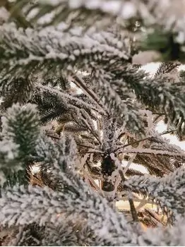 Kovalivian Snow-Covered Christmas Tree PE 230 CM ნაძვის ხე დათოვლილი ტოტებით, 100% სილიკონი, 6 image