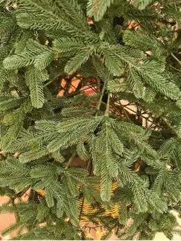 Viennese Christmas Tree Green PE 230 CM საახალწლო ნაძვის ხე 100% სილიკონი, 5 image