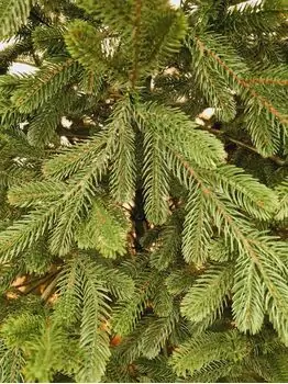 Viennese Christmas Tree Green PE 250 CM საახალწლო ნაძვის ხე 100% სილიკონი, 4 image