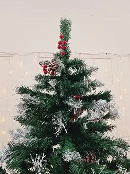 Christmas Tree With Snow-Covered Branches, Pine Cones And Berries 210 CM - ნაძვის ხე დათოვლილი ბოლოებით, გირჩით და კენკრით, 2 image