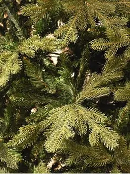 Christmas Tree PE + PVC 210 CM - საახალწლო ნაძვის ხე შერეული სილიკონის წიწვებით, 4 image