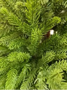 Christmas Tree 180 CM PE + PVC Light Green - საახალწლო ნაძვის ხე შერეული სილიკონის წიწვებით, 3 image