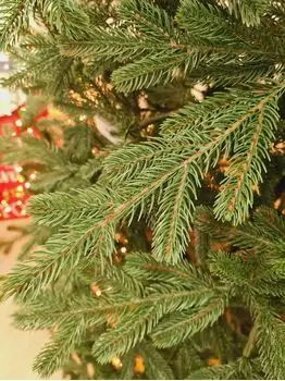 Viennese Christmas Tree Green PE 250 CM საახალწლო ნაძვის ხე 100% სილიკონი, 2 image