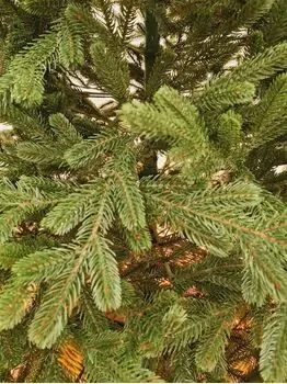 Viennese Christmas Tree Green PE 210 CM საახალწლო ნაძვის ხე 100% სილიკონი, 4 image