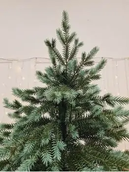 Scandinavian Christmas Tree With Blue Tips PE 210 CM  საახალწლო ნაძვის ხე 100% სილიკონი, 2 image
