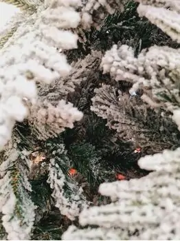 Snow-Covered Christmas Tree PE + PVC 210 CM - დათოვლილი ნაძვის ხე შერეული სილიკონის წიწვებით, 7 image