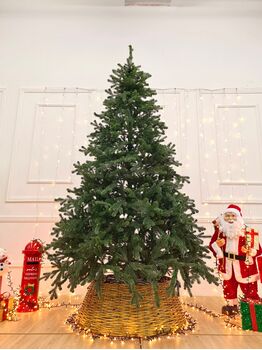 Viennese Christmas Tree Green PE 210 CM საახალწლო ნაძვის ხე 100% სილიკონი, 7 image