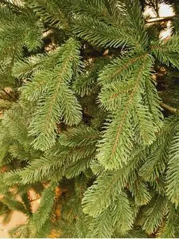 Kovalivian Christmas Tree Green VIP, PE 230 CM ნაძვის ხე 100% სილიკონი, 4 image