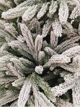 Christmas Tree PE 210 CM Snow-Covered დათოვლილი ნაძვის ხე 100 % სილიკონი, 4 image