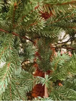 Holandiia Christmas Tree With Blue Tips PE 210 CM საახალწლო ნაძვის ხე, 100% სილიკონი, 5 image