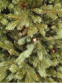 Holandiia Christmas Tree With Blue Tips PE 210 CM საახალწლო ნაძვის ხე, 100% სილიკონი, 4 image